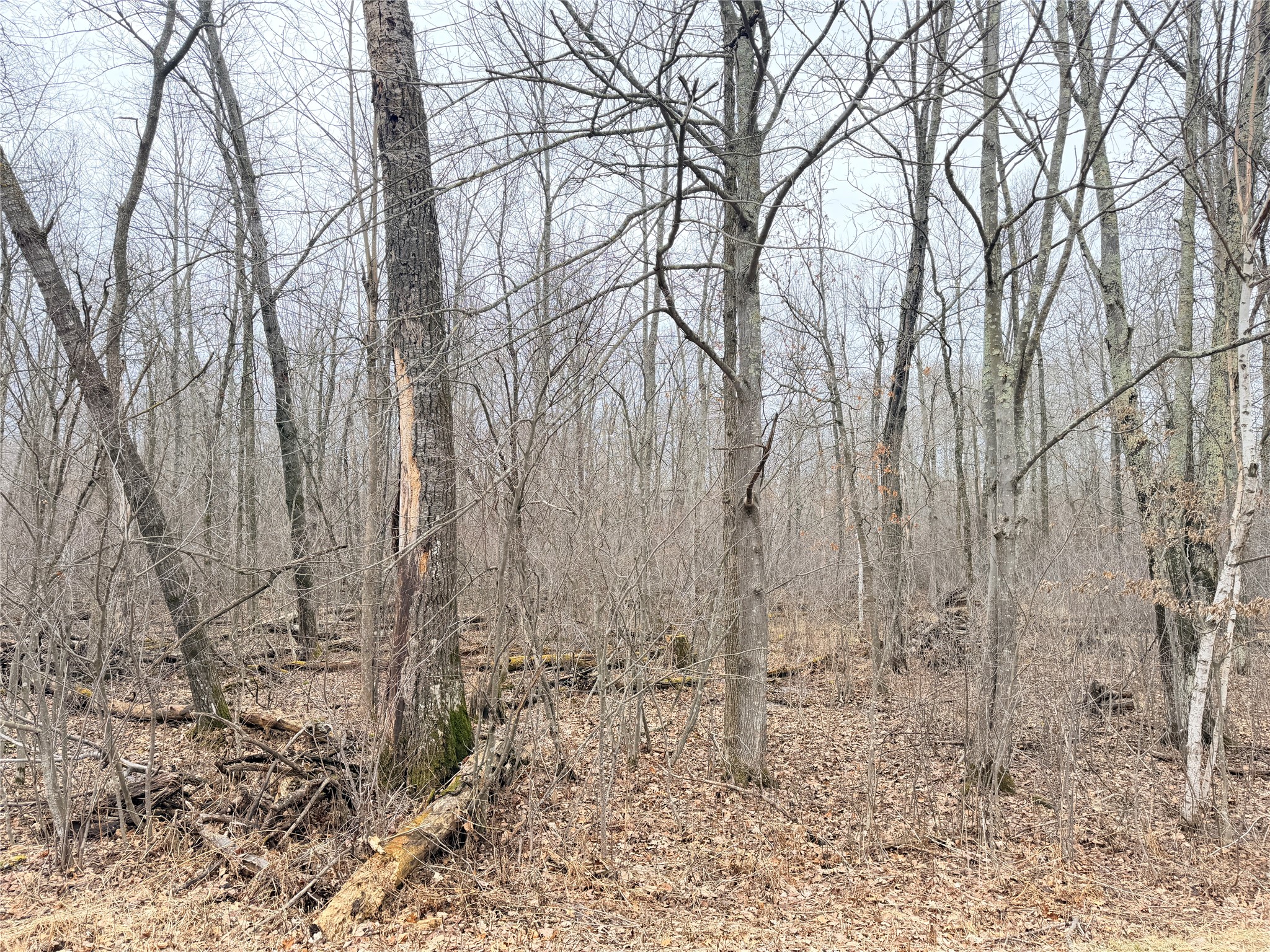 Lot 20 28 7/8 Avenue Birchwood WI 54817 1599751 image3