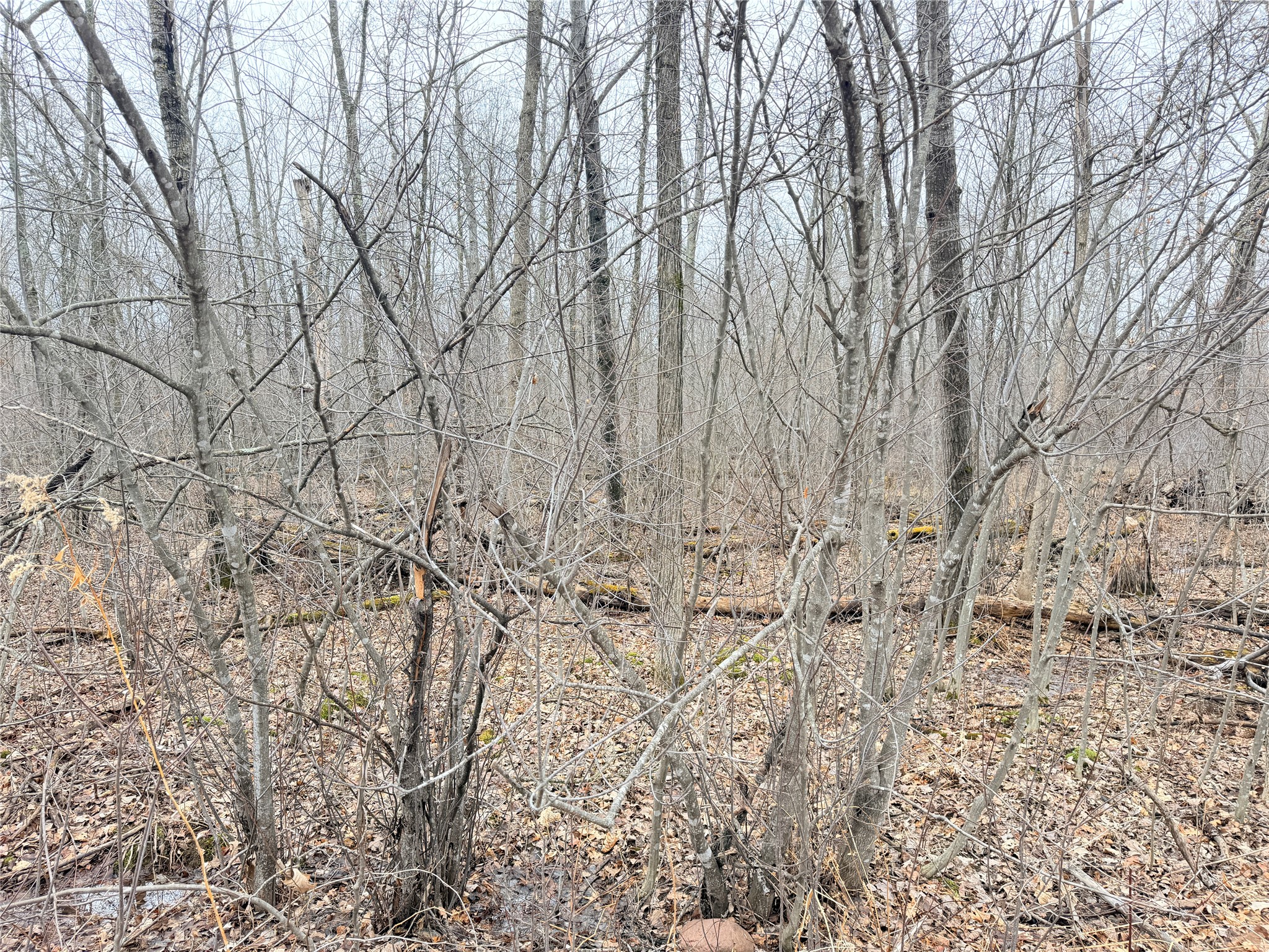 Lot 20 28 7/8 Avenue Birchwood WI 54817 1599751 image4