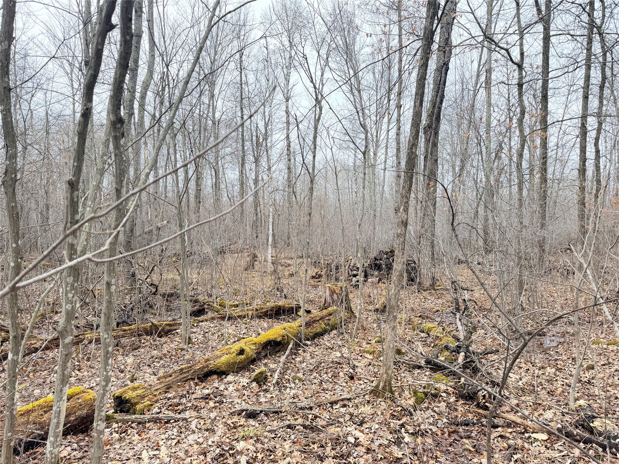 Lot 20 28 7/8 Avenue Birchwood WI 54817 1599751 image6