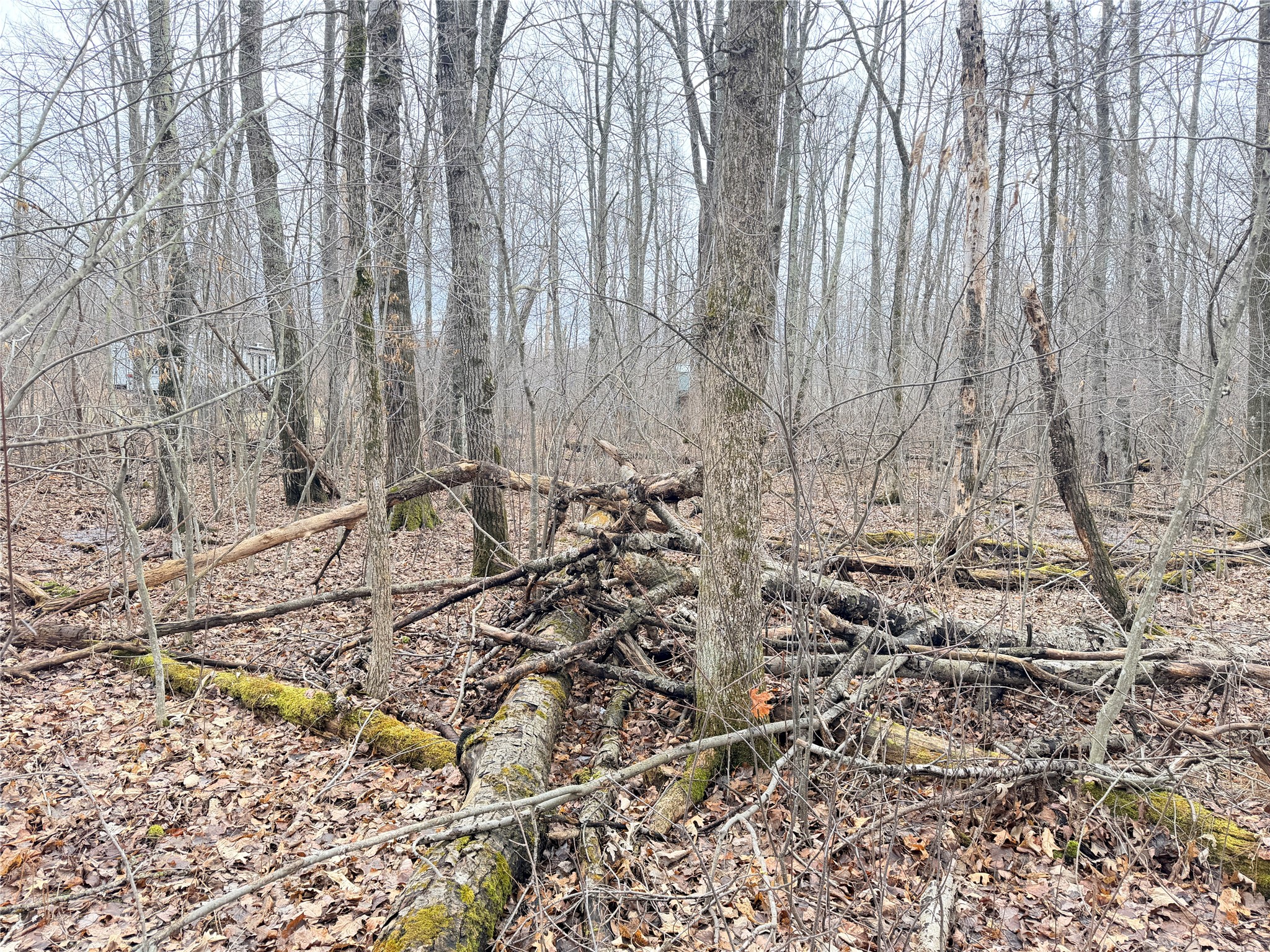 Lot 20 28 7/8 Avenue Birchwood WI 54817 1599751 image7