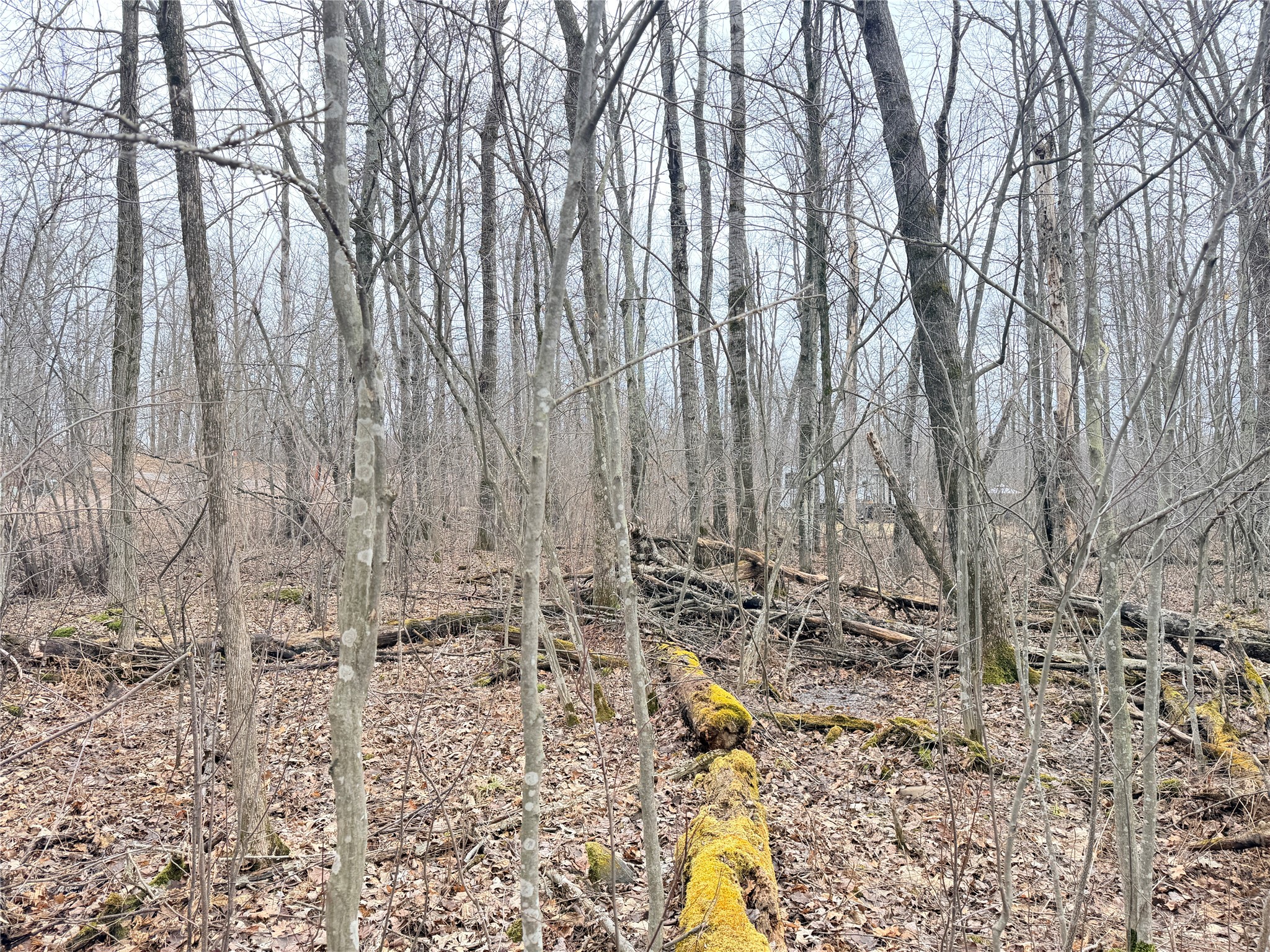 Lot 20 28 7/8 Avenue Birchwood WI 54817 1599751 image8