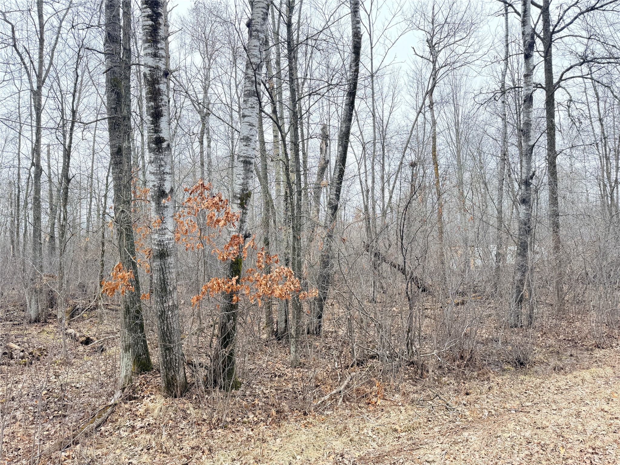 Lot 20 28 7/8 Avenue Birchwood WI 54817 1599751 image9