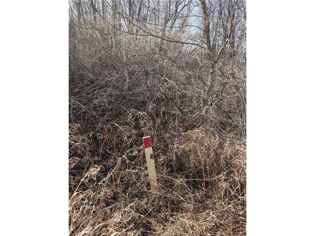 Lot 20 47th Avenue, Eau Galle, WI, 54736 MLS 1580368 Edina Realty