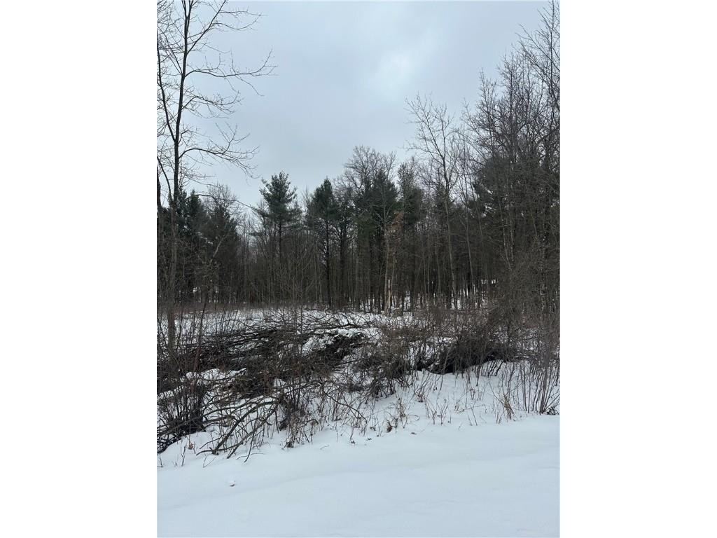 Lot 20 Betty Lane Black River Falls WI 54615 1598190 image1