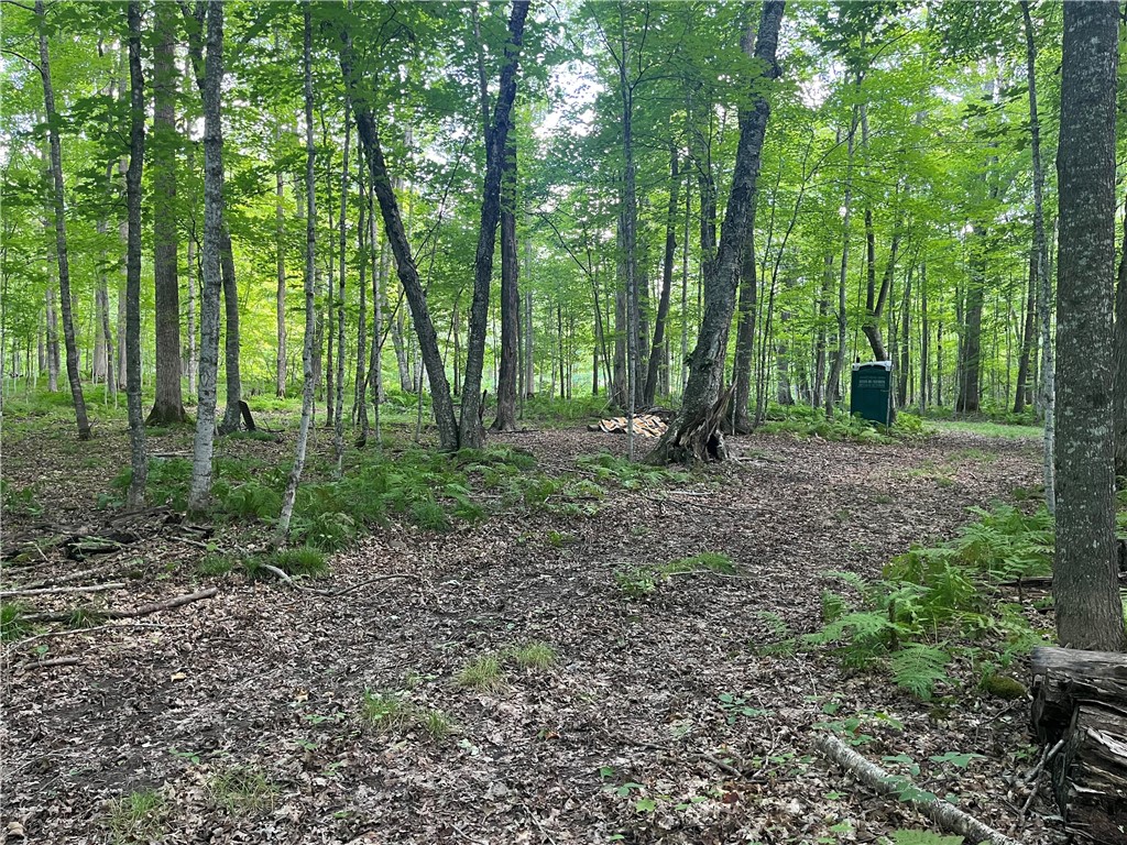 Lot 20 Loch Lomond Birchwood WI 54817 - Red Cedar 1571869 image1