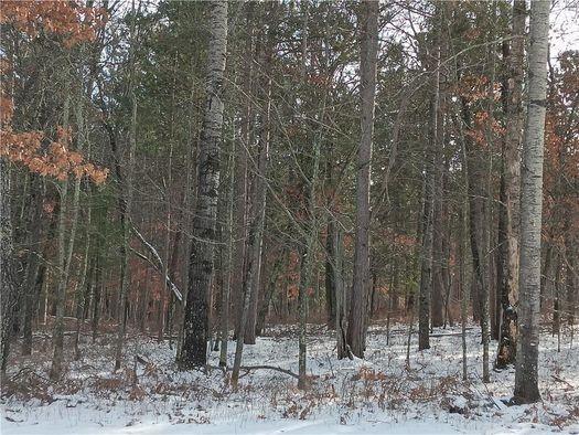 Lot 20 Setting Sun Trail Way Danbury WI 54830 1596989 image14