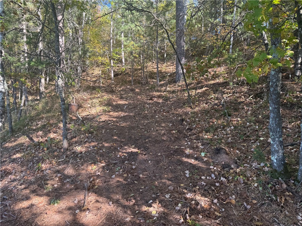 Lot 21 E Long Lake Rd Iron River WI 54847 - Long Lake 1597633 image4