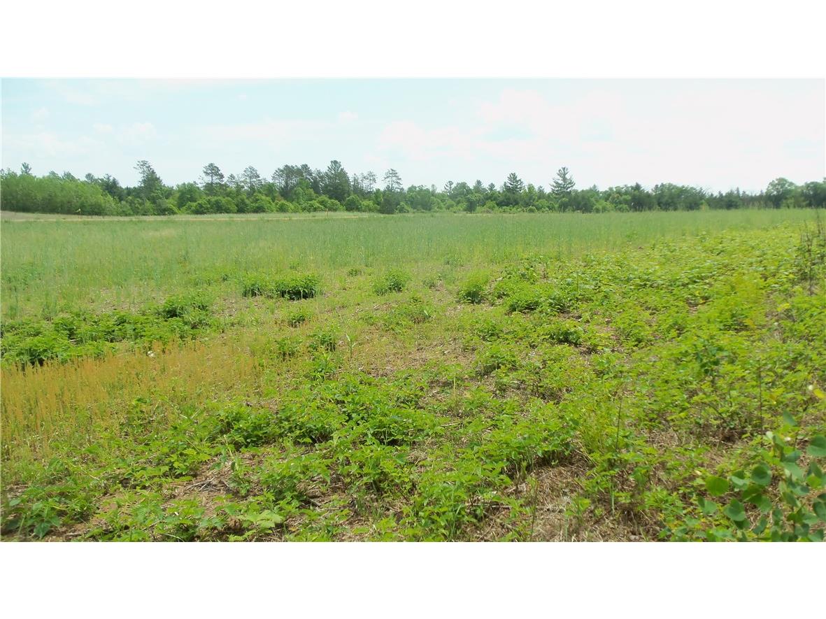 Lot 21 Maple Ln Siren WI 54872 1594131 image4