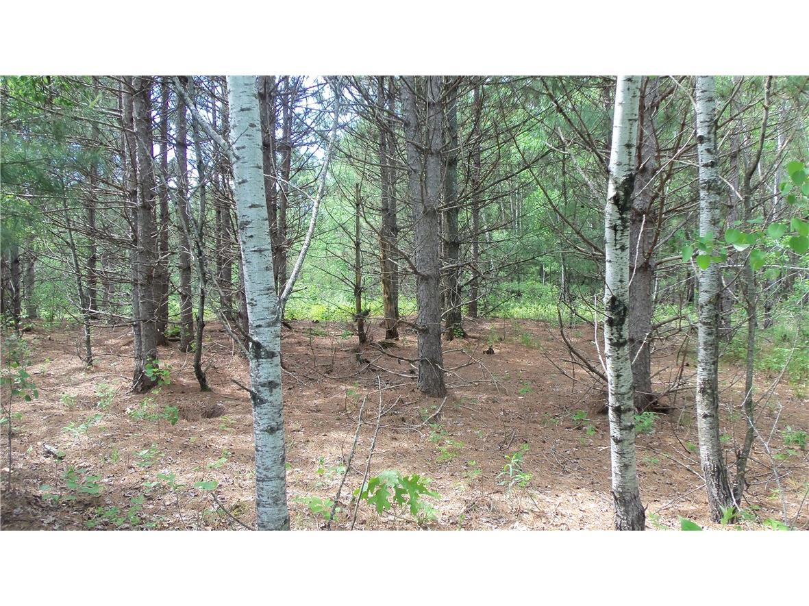 Lot 21 Maple Ln Siren WI 54872 1594131 image5