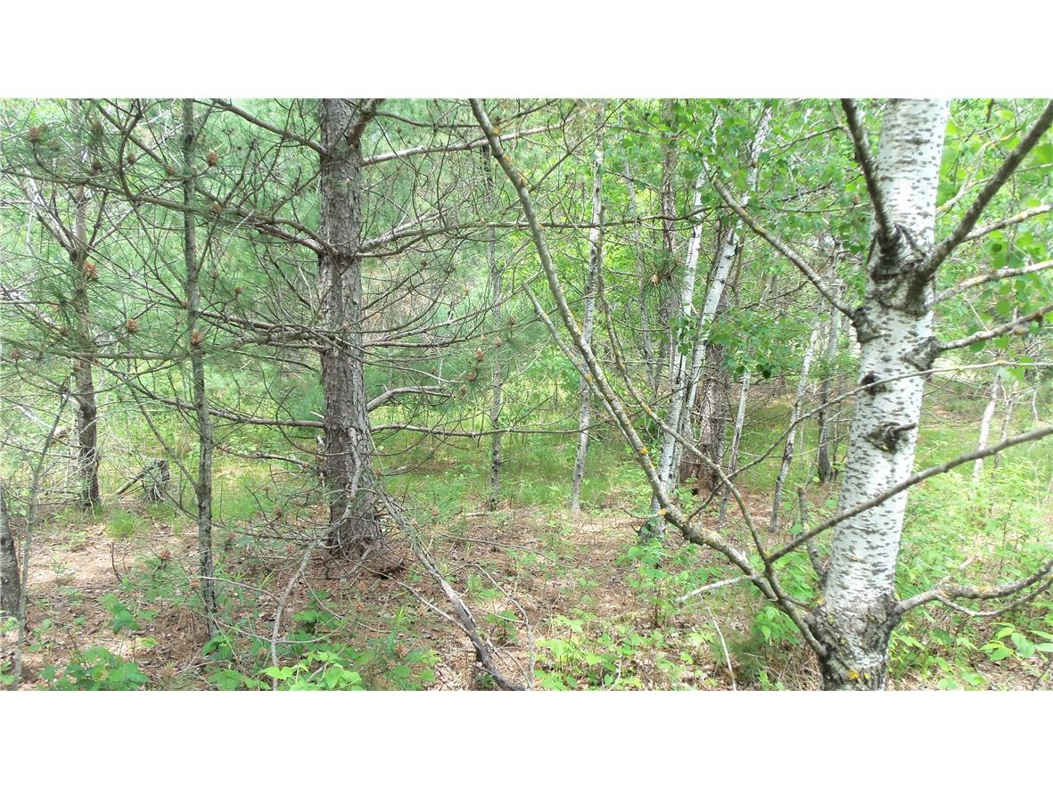 Lot 21 Maple Ln Siren WI 54872 1594131 image6