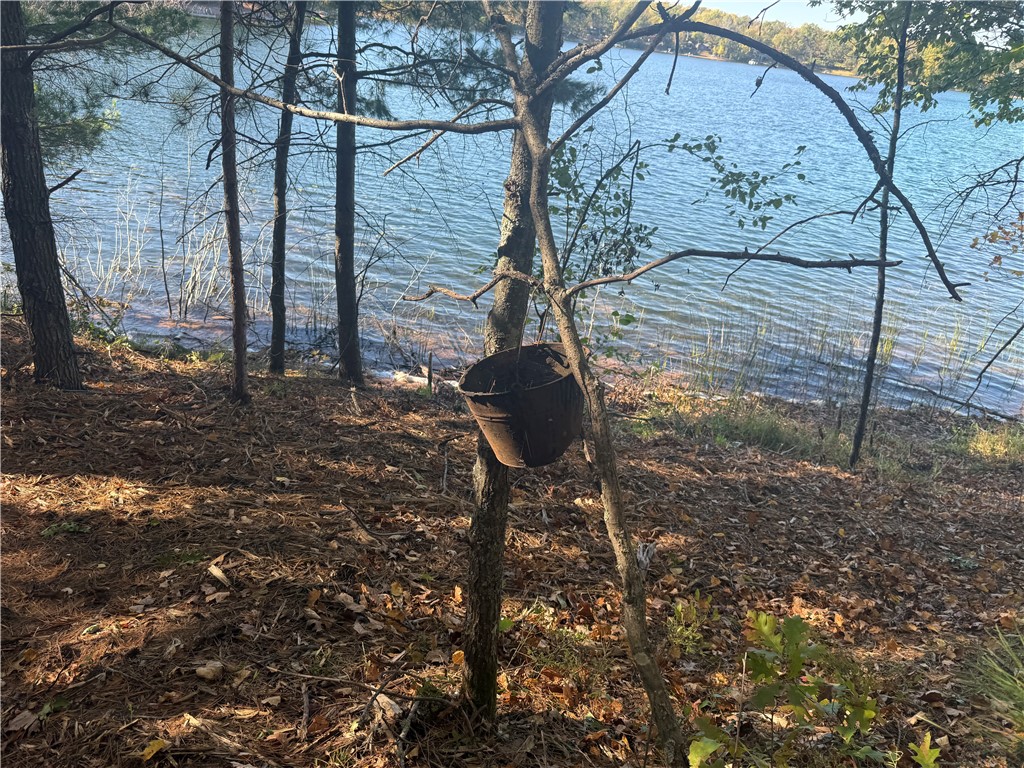 Lot 22 & 23 E Long Lake Iron River WI 54847 - Long Lake 1597640 image5