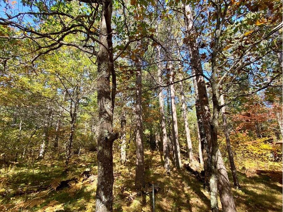 Lot 22 Golden Eagle Trail Barnes WI 54873 1571112 image2