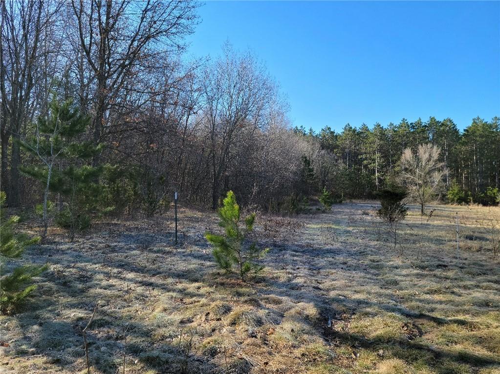 Lot 23 475th Street Wheeler WI 54772 1577068 image1