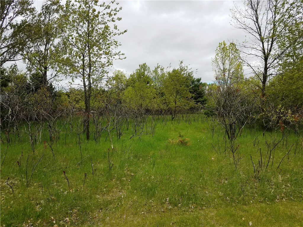 Lot 23 684th Avenue Menomonie WI 54751 1531217 image1