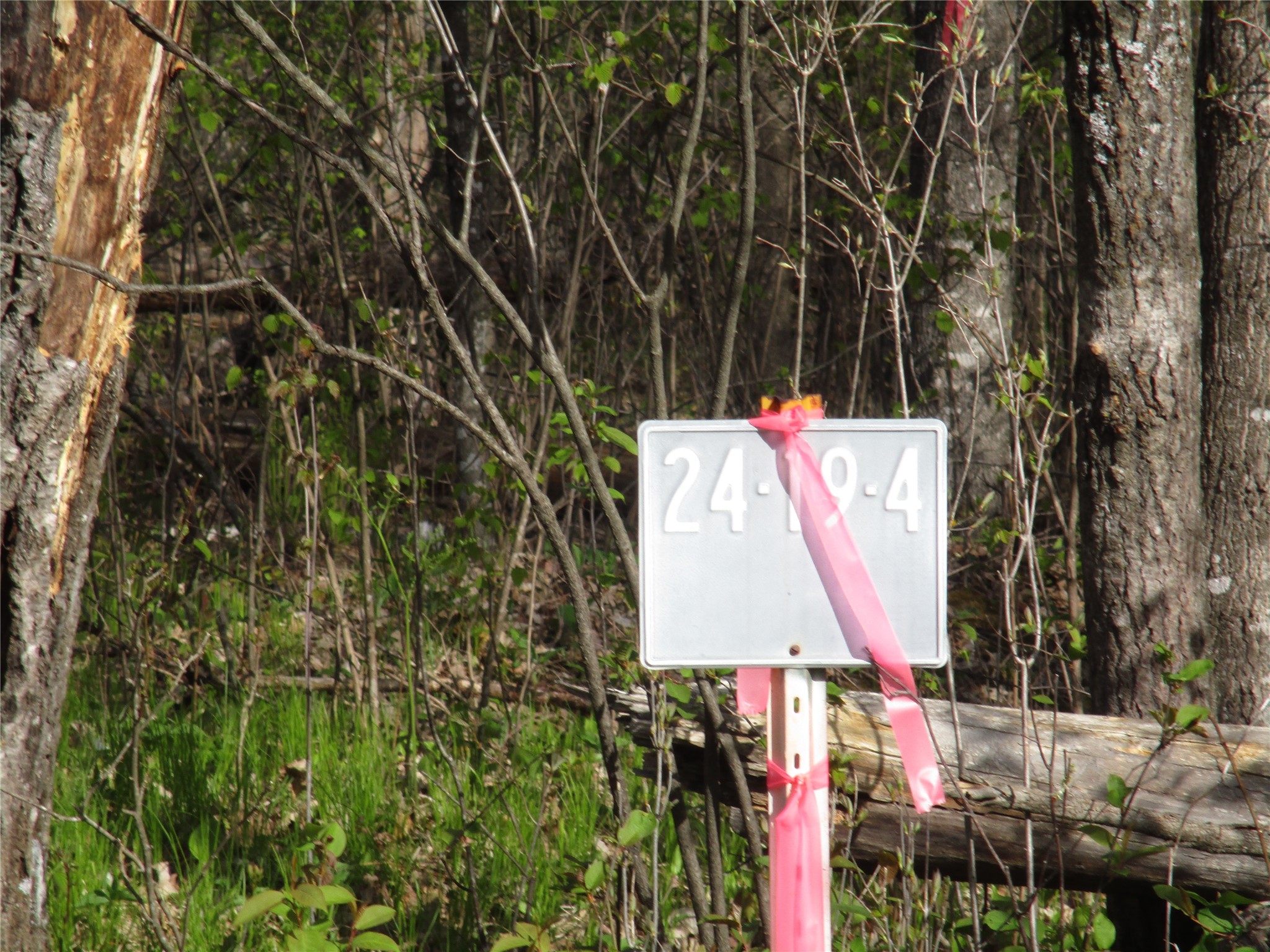Lot #24 28 1/8 Avenue Birchwood WI 54817 - Red Cedar 1601156 image1