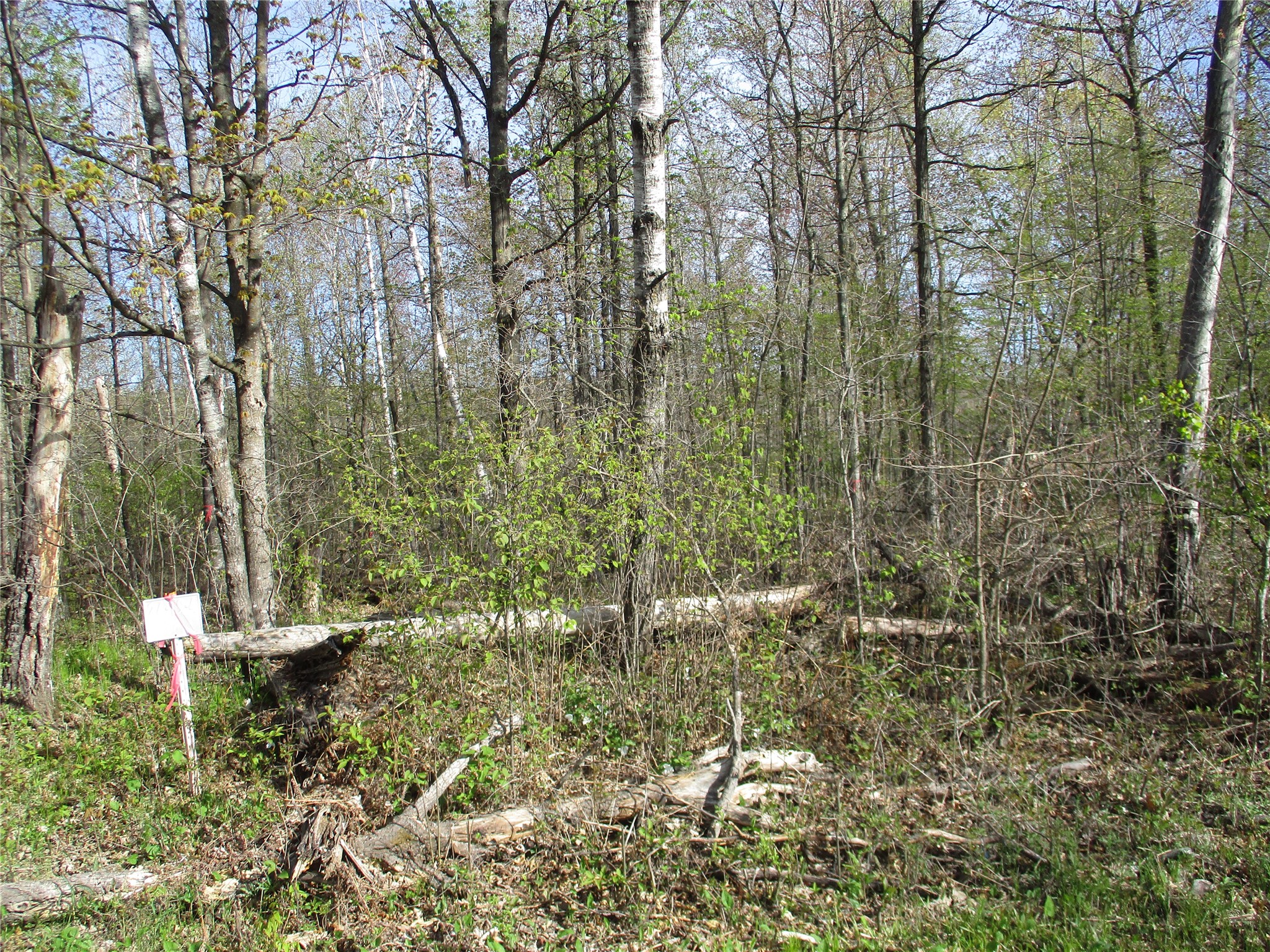 Lot #24 28 1/8 Avenue Birchwood WI 54817 - Red Cedar 1601156 image2