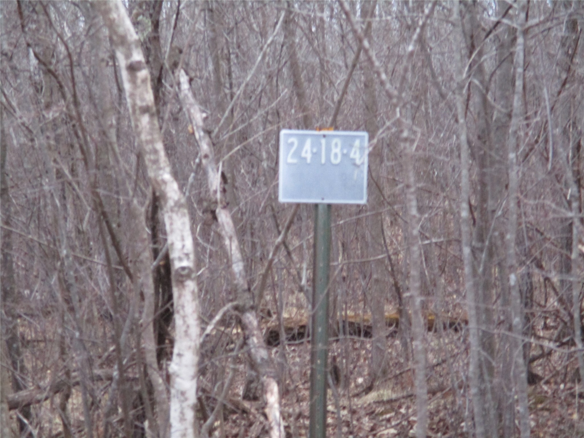 Lot #24 28 11/16 Street Birchwood WI 54817 - Red Cedar 1599869 image1