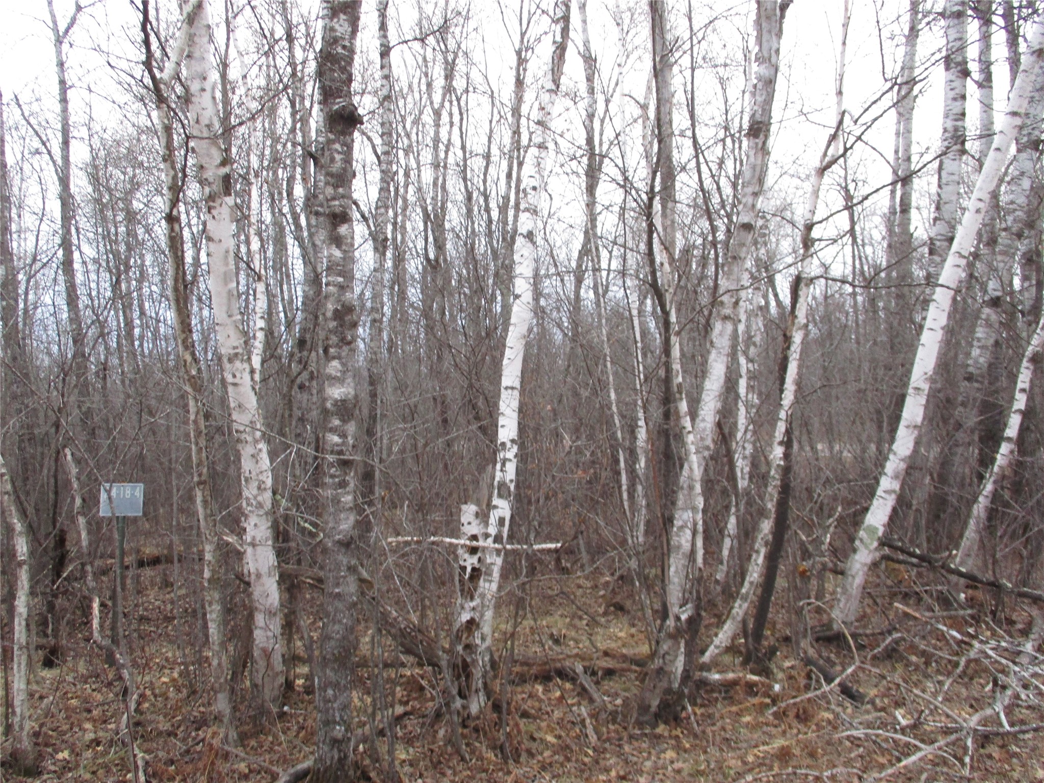 Lot #24 28 11/16 Street Birchwood WI 54817 - Red Cedar 1599869 image2