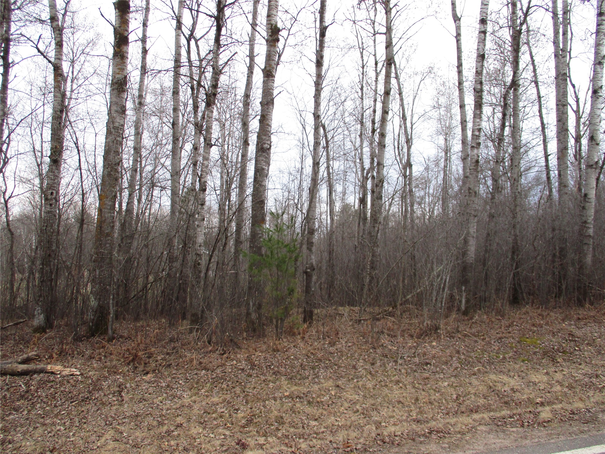 Lot #24 28 11/16 Street Birchwood WI 54817 - Red Cedar 1599869 image4