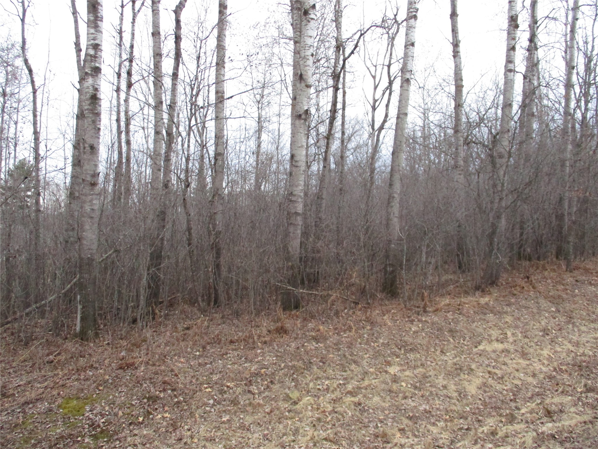 Lot #24 28 11/16 Street Birchwood WI 54817 - Red Cedar 1599869 image5