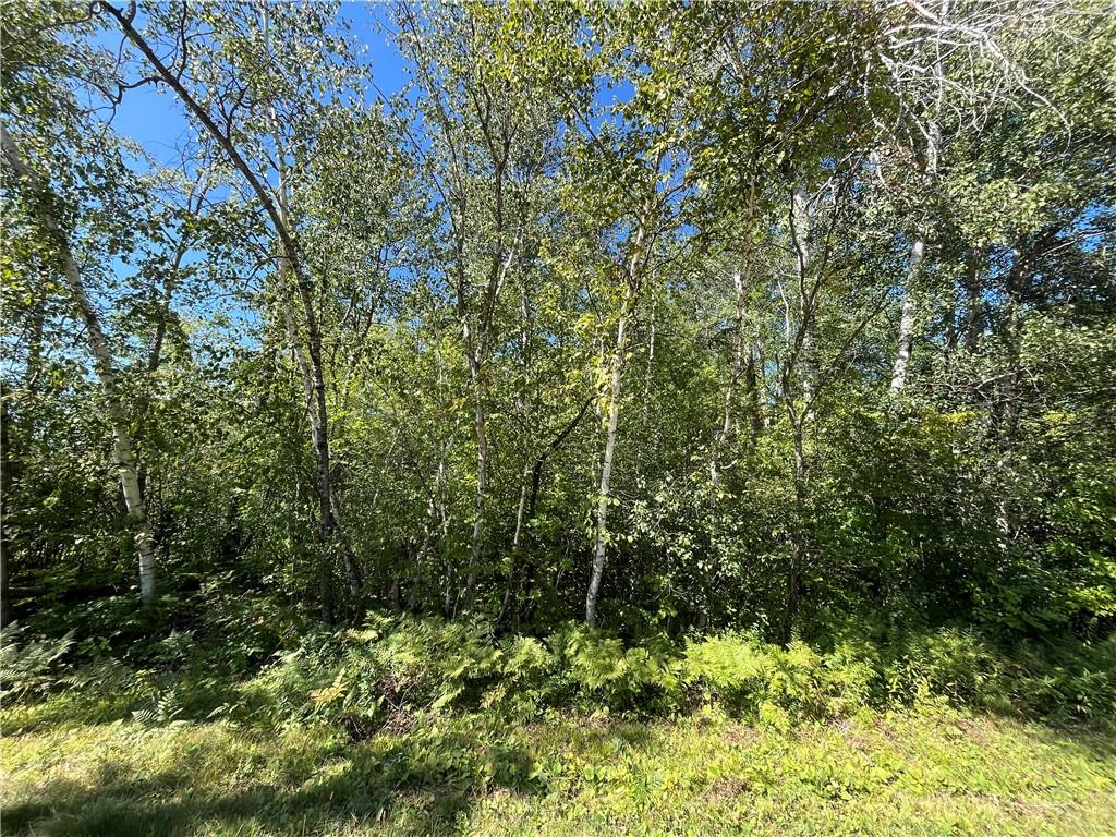 Lot 24 28 11/16th Street Birchwood WI 54817 - Red Cedar 1576452 image1