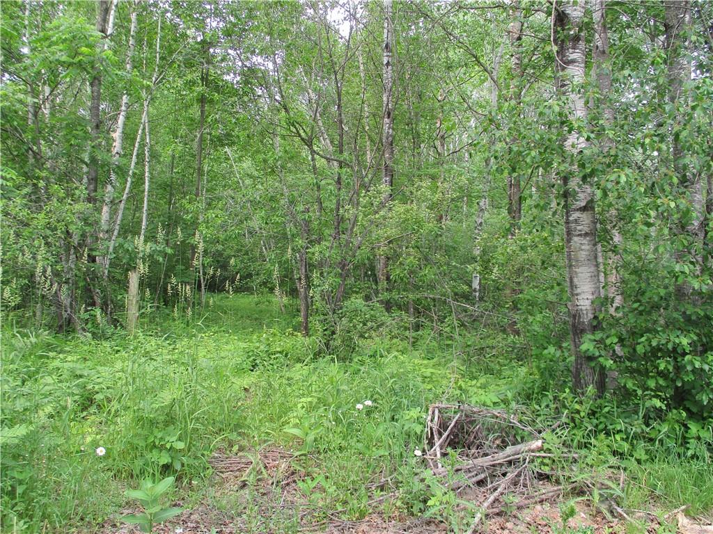 Lot 24 Bayfield CT Birchwood WI 54817 - Red Cedar 1574156 image1