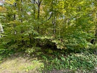 Lot 24 off Maiden Lane Stone Lake WI 54876 1578023 image1