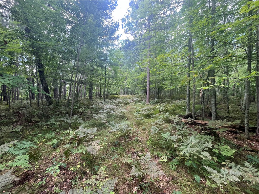 Lot 25 Half Moon Court Danbury WI 54830 1596712 image14