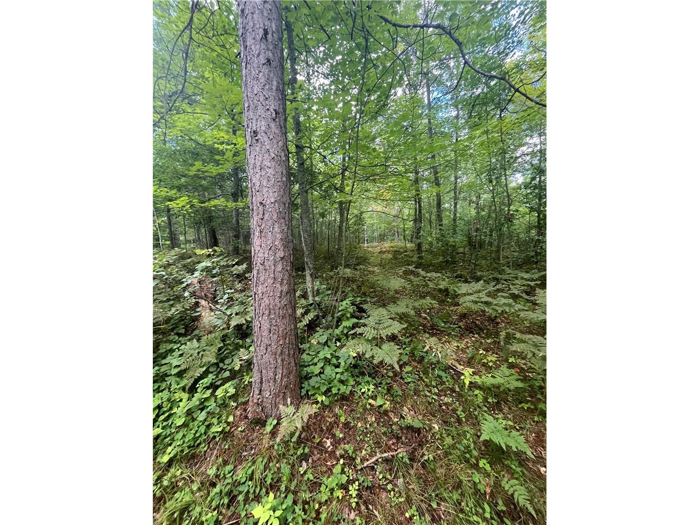 Lot 26 Half Moon Circle Danbury WI 54830 1596713 image14