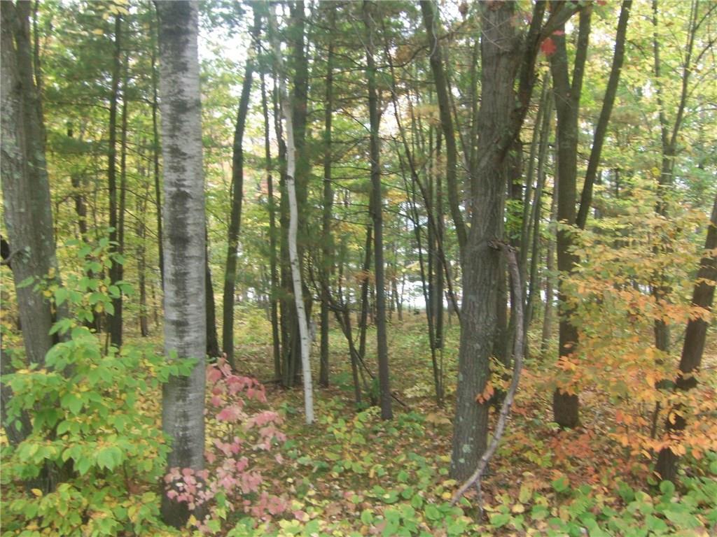 Lot 267th, WI, 54745 MLS 1547437 Edina Realty
