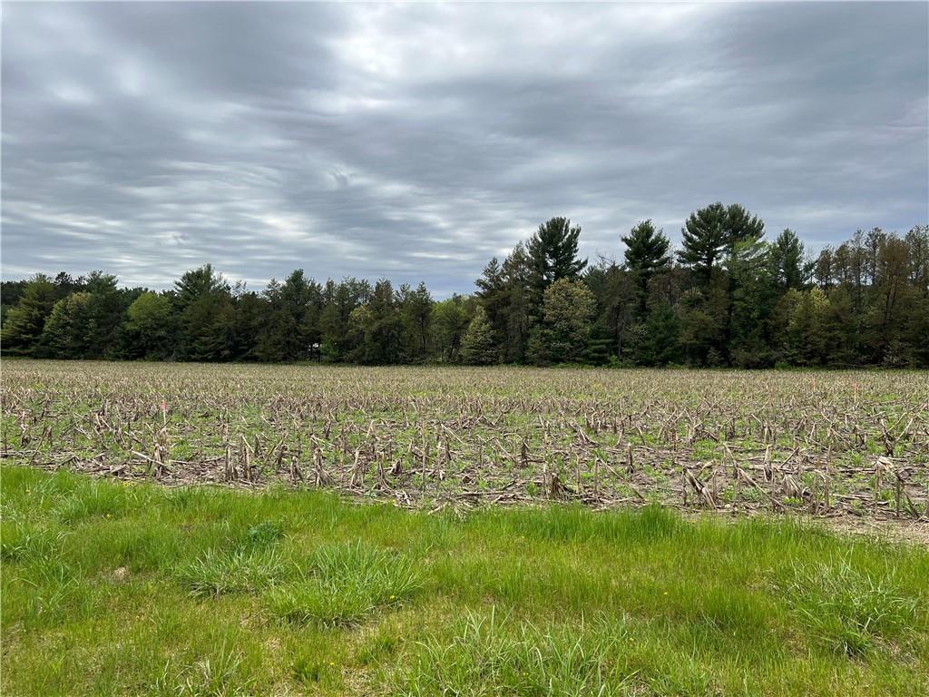Lot 27 Mertinke Landing Eleva WI 54701 1564561 image1