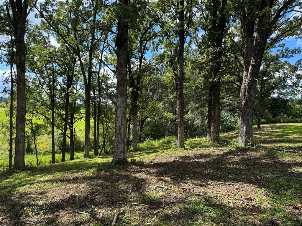 Lot 28 21st Street Rice Lake WI 54868 1595595 image10