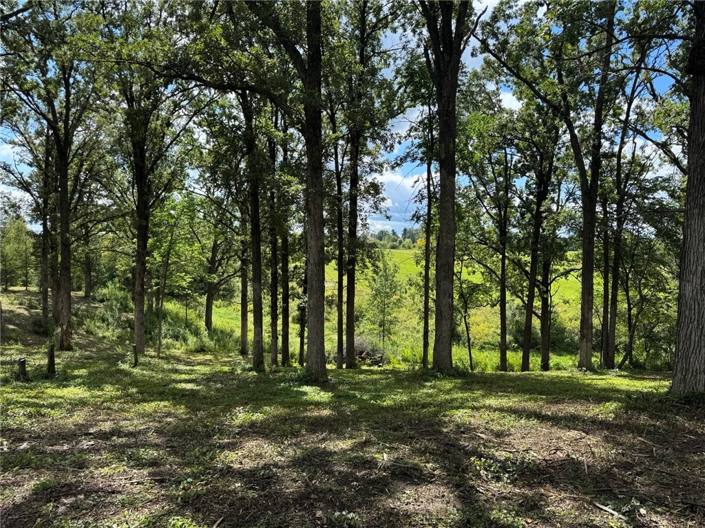 Lot 28 21st Street Rice Lake WI 54868 1595595 image11