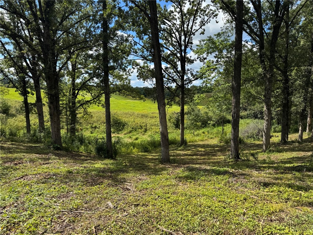 Lot 28 21st Street Rice Lake WI 54868 1595595 image13