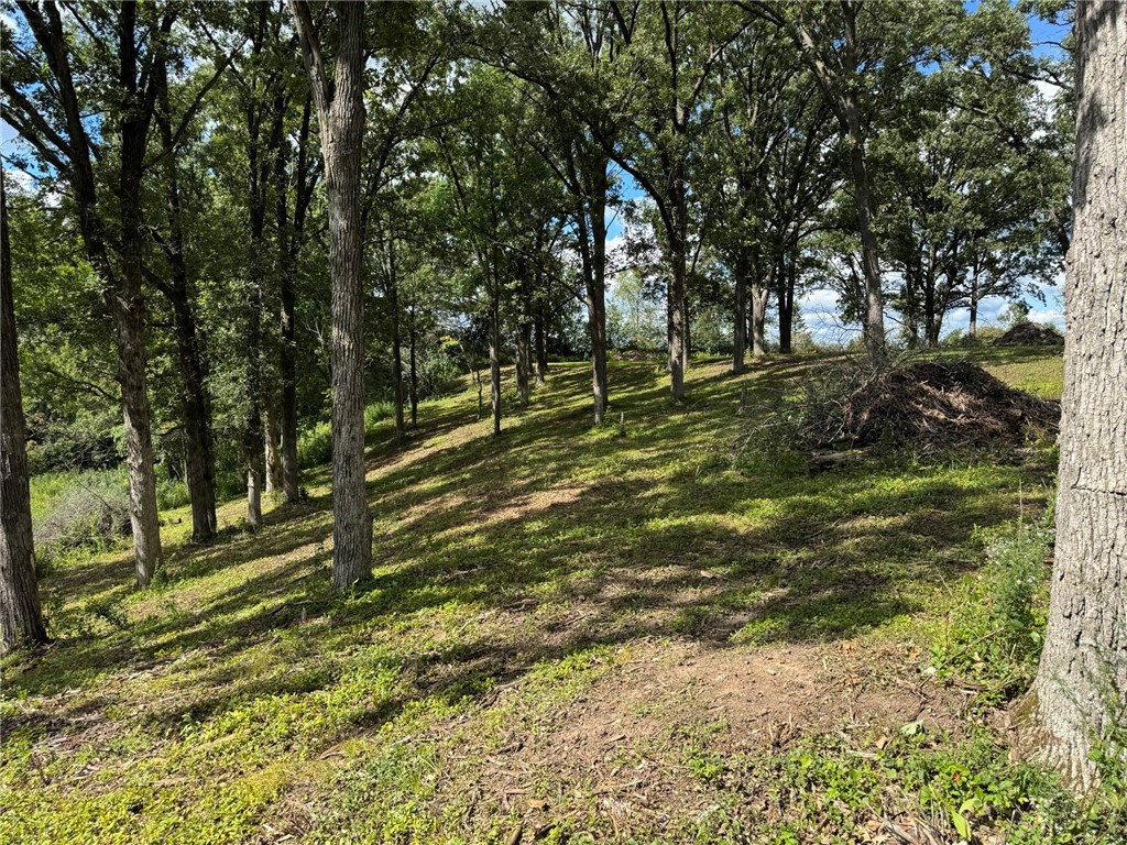 Lot 28 21st Street Rice Lake WI 54868 1595595 image14