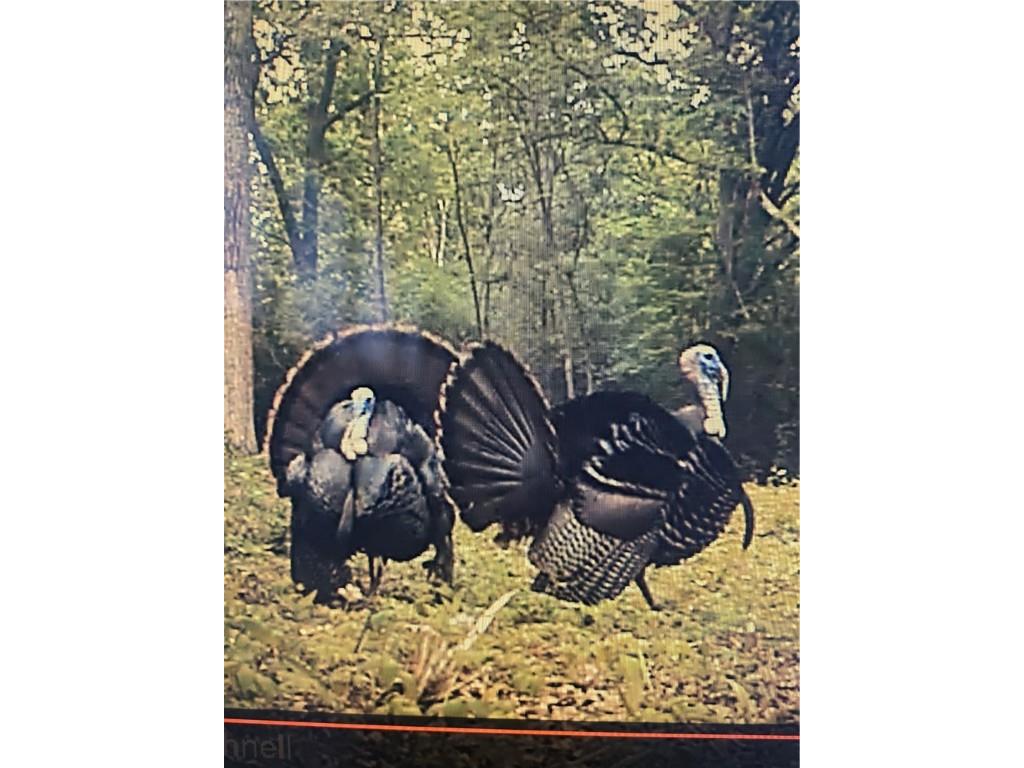 Lot 28 21st Street Rice Lake WI 54868 1595595 image41