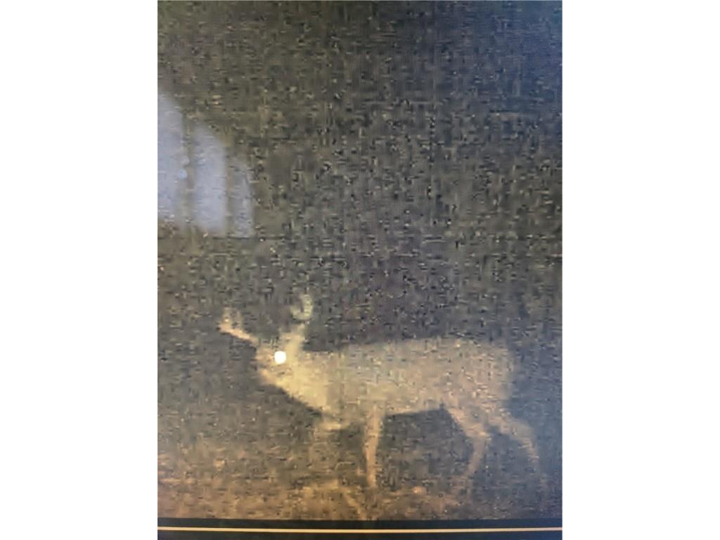 Lot 28 21st Street Rice Lake WI 54868 1595595 image42