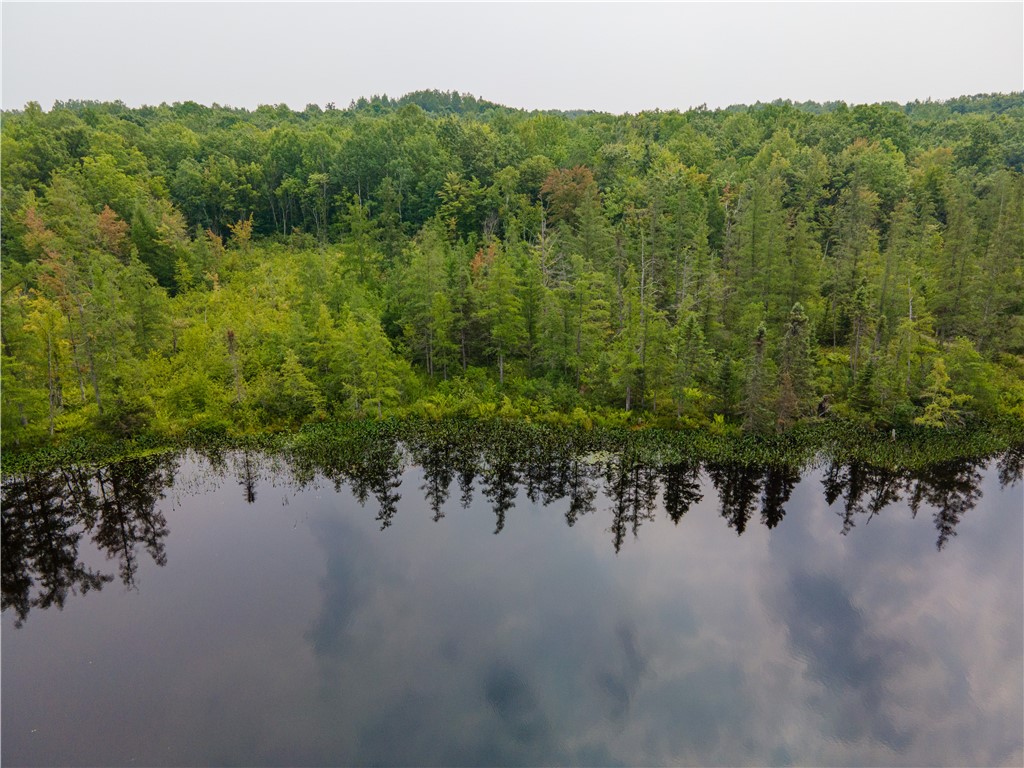Lot 28 Round Lake Road Bruce WI 54819 - Round Lake 1594268 image6