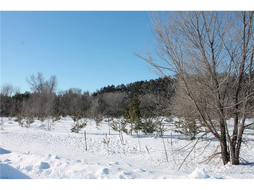 Lot 29 574th Street Colfax WI 54730 1570947 image1