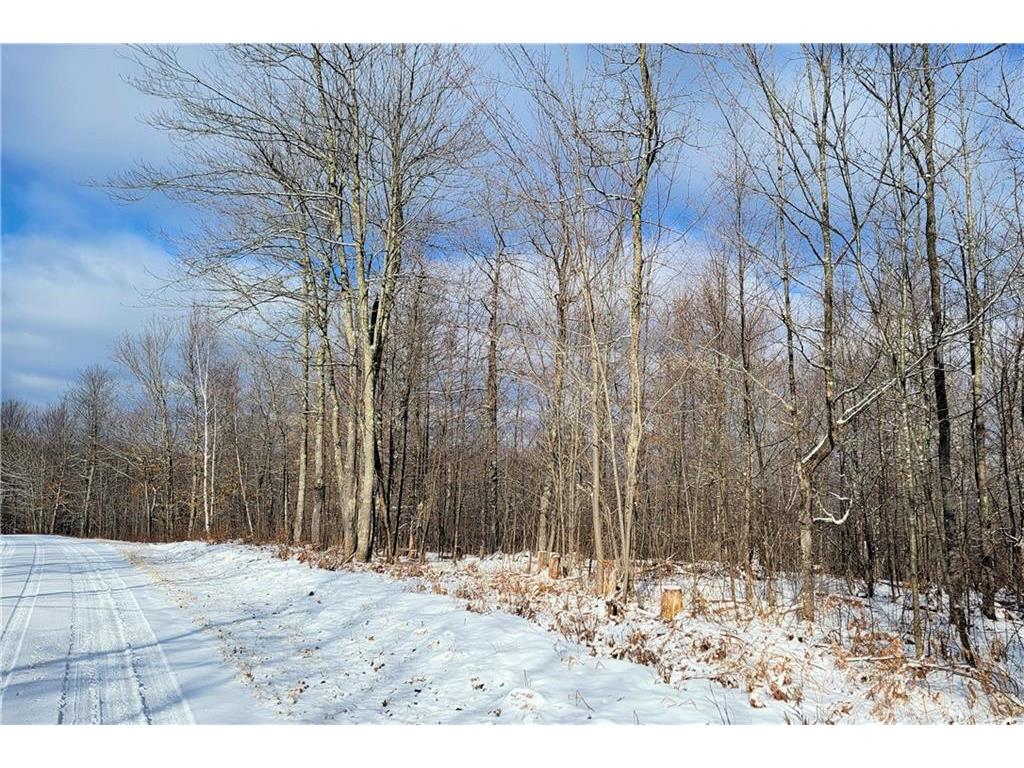 Lot 29 Woodcrest Drive Cable WI 54821 1579712 image1