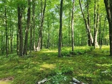 Lot 298 Deerpath Road Danbury WI 54830 1577708 image1
