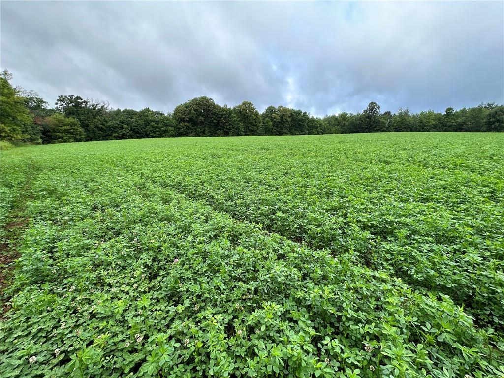 Lot 3(10 acres) 335th Avenue Frederic WI 54837 1576150 image1