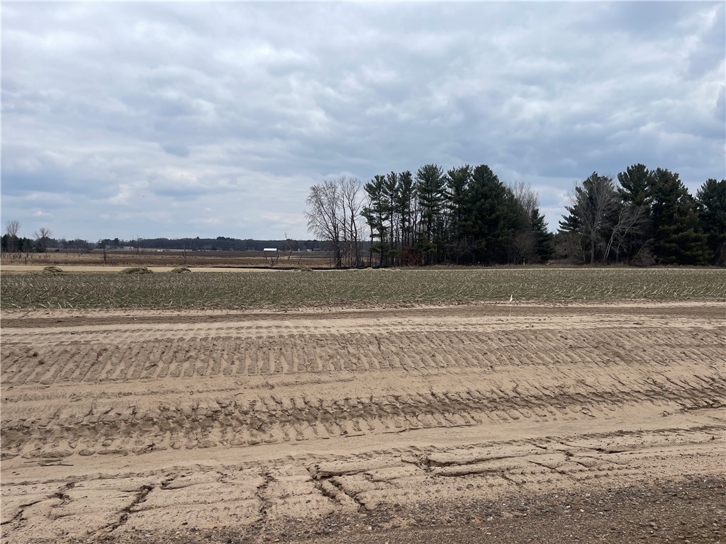 Lot #3 14th Avenue Elk Mound WI 54739 1590415 image1