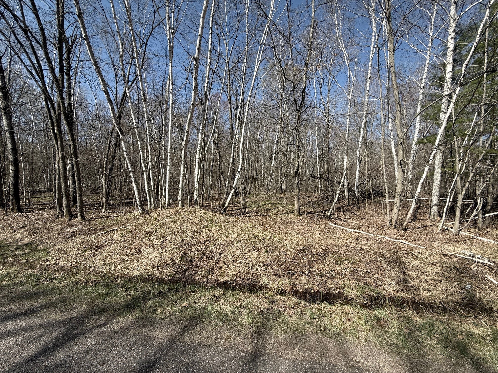 Lot 3 175th Jim Falls WI 54748 1600307 image1