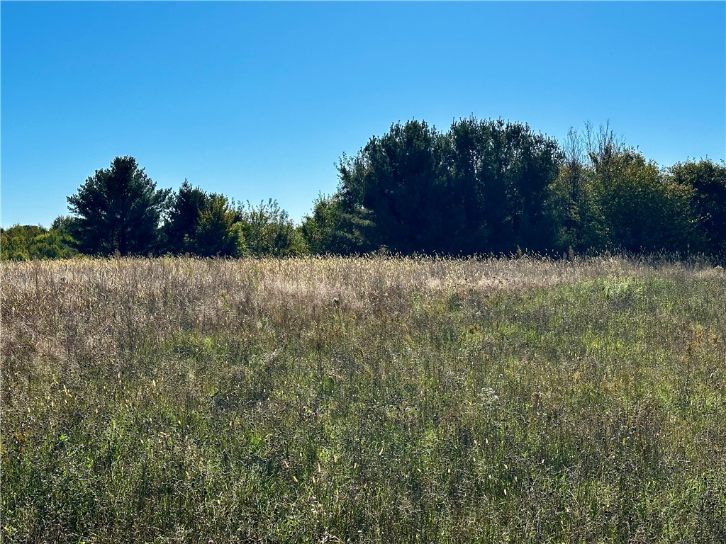 Lot 3 180th Street/181st Street Chippewa Falls WI 54729 1589370 image10