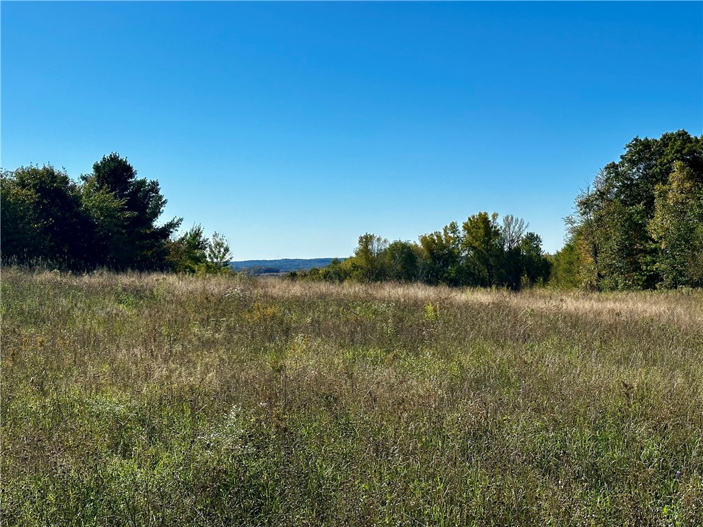 Lot 3 180th Street/181st Street Chippewa Falls WI 54729 1589370 image12