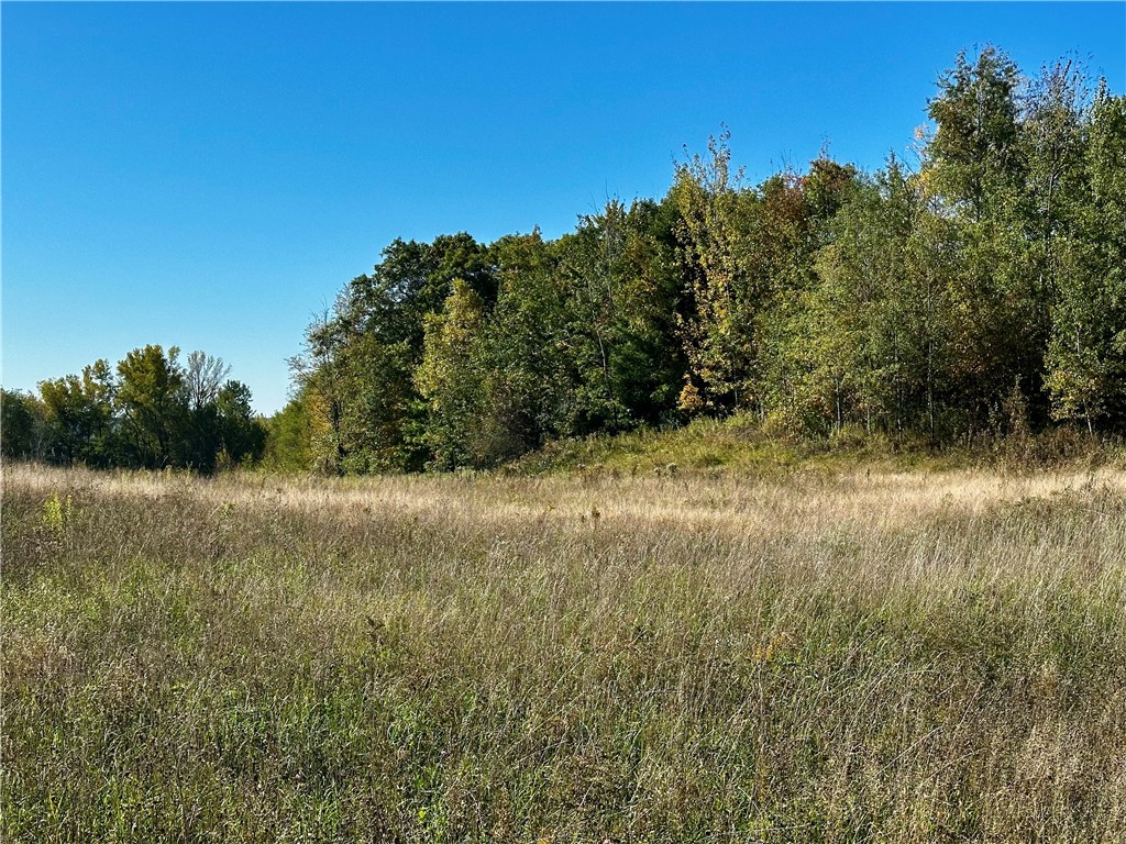 Lot 3 180th Street/181st Street Chippewa Falls WI 54729 1589370 image13