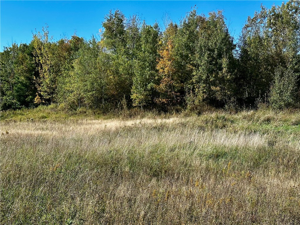 Lot 3 180th Street/181st Street Chippewa Falls WI 54729 1589370 image14