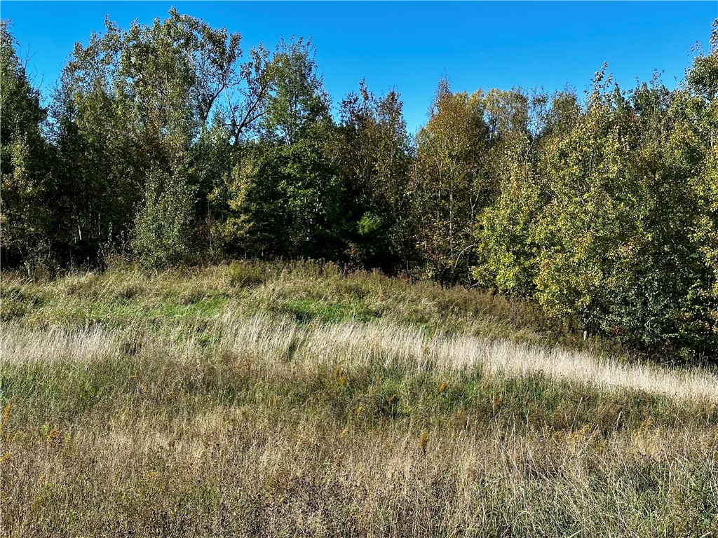 Lot 3 180th Street/181st Street Chippewa Falls WI 54729 1589370 image15