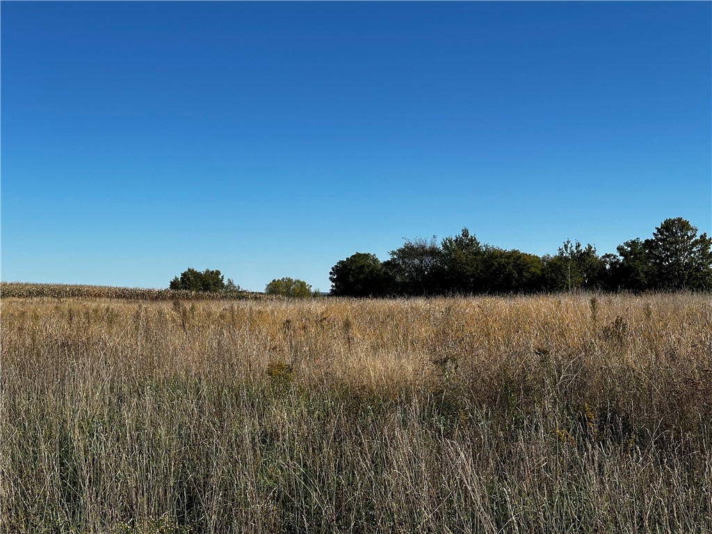 Lot 3 180th Street/181st Street Chippewa Falls WI 54729 1589370 image16